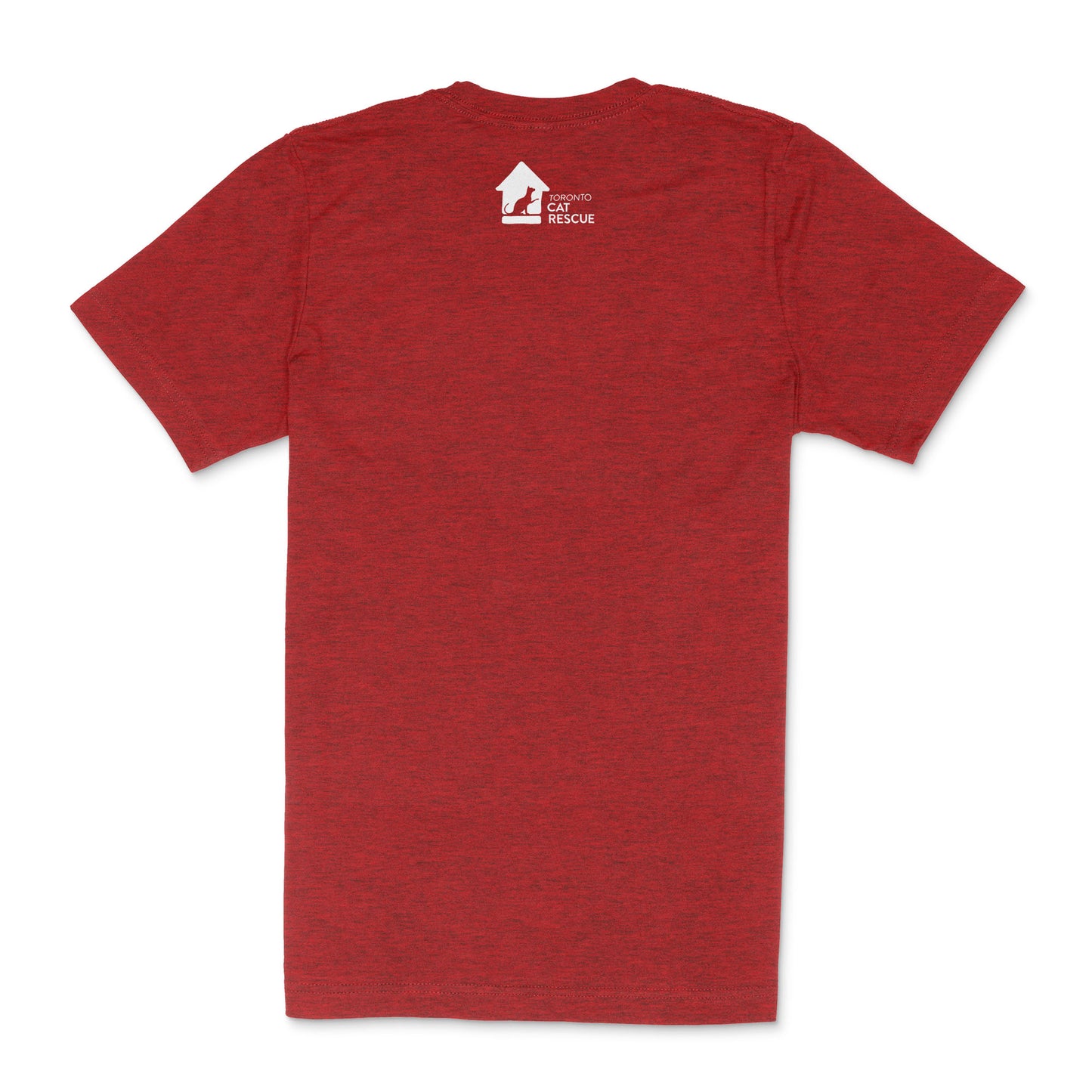 Every Day is Caturday Tee