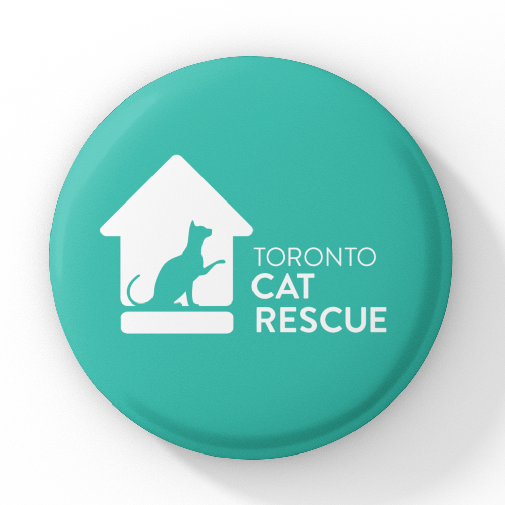 Toronto Cat Rescue Magnet in Turquoise