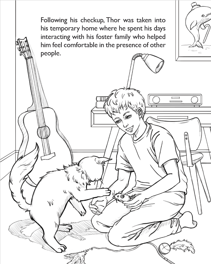 TCR Foster Colouring Book | Free Printable Colouring Book