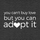 You Can't Buy Love, But You Can Adopt It Women's V-Neck Tee
